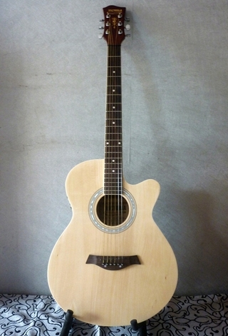 Đàn Guitar Acoustic - 405 EQ